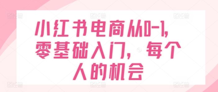 小红书电商从0-1,零基础入门,每个人的机会-零氪资源站