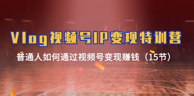 Vlog视频号IP变现特训营,普通人如何通过视频号变现赚钱(15节)-零氪资源站