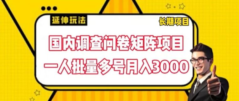 国内调查问卷矩阵项目，一人批量多号月入3000【揭秘】-零氪资源站