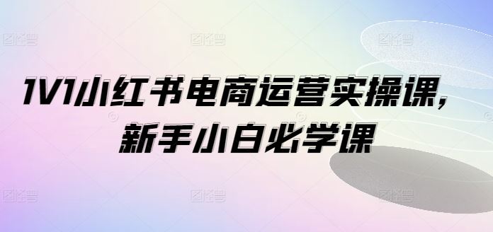 1V1小红书电商运营实操课,新手小白必学课-零氪资源站