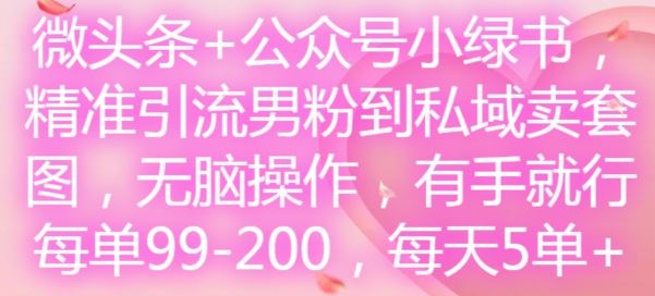 微头条+公众号小绿书，精准引流男粉到私域卖套图，无脑操作，有手就行，每单99-200，每天5单-零氪资源站