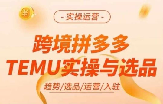 跨境拼多多TEMU实操与选品，多多temu跨境选品运营实操-零氪资源站