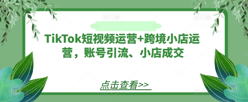 TikTok短视频运营+跨境小店运营，账号引流、小店成交-零氪资源站