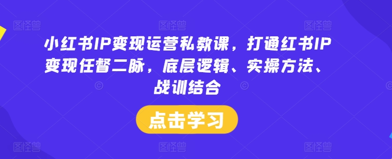 小红书IP变现运营私教课,打通红书IP变现任督二脉,底层逻辑、实操方法、战训结合-零氪资源站