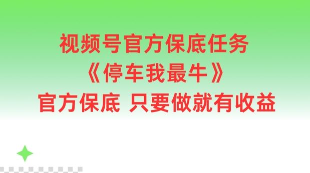视频号官方保底任务，停车我最牛，官方保底只要做就有收益【揭秘】-零氪资源站