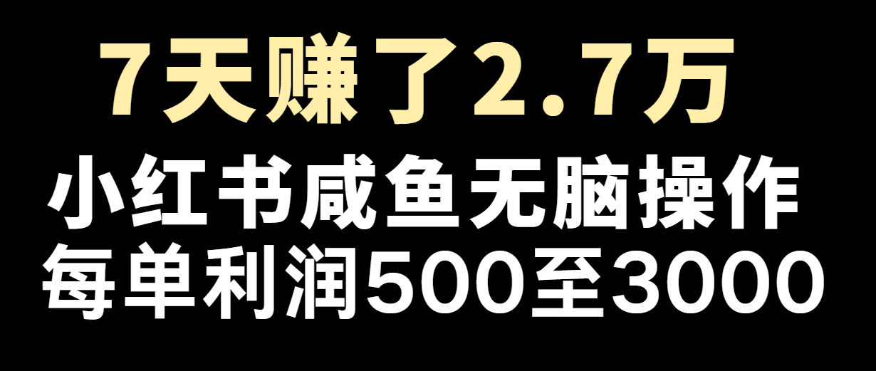 七天赚了2.7万！每单利润最少500+，轻松月入5万+小白有手就行-零氪资源站