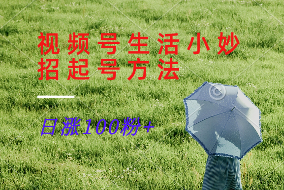 视频号生活小妙招分享赛道， 起号涨粉新方法，日涨100粉-零氪资源站
