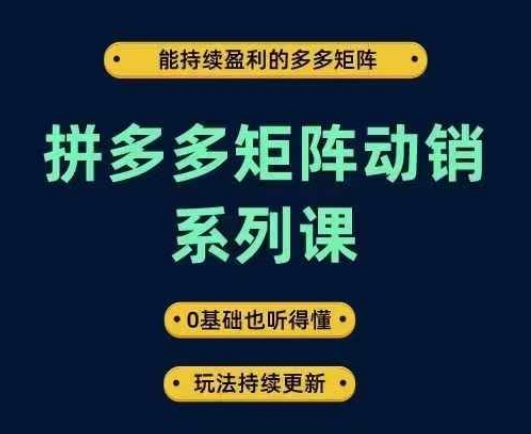 拼多多矩阵动销系列课，能持续盈利的多多矩阵，0基础也听得懂，玩法持续更新-零氪资源站