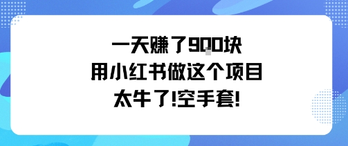 一天挣了9张用小红书做这个项目太牛了，空手套-零氪资源站