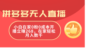 (11521期)拼多多无人直播,小白在家0粉0成本开播立赚268,在家轻松月入数千-零氪资源站