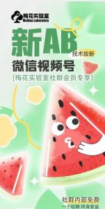 梅花实验室2024年AB技术视频号AB合成破解版-零氪资源站