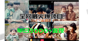 （11546期）全网爆火的AI让老照片动起来教程，蹭热点日赚3000+，内含免费工具一键…-零氪资源站