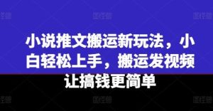 小说推文搬运新玩法,小白轻松上手,搬运发视频让搞钱更简单-零氪资源站