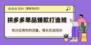 2024拼多多单品爆款打造班,充分应用你的流量,增长实战培训(更新6月)-零氪资源站