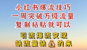 小红书爆流技巧,一周突破万级流量,复制粘贴就可以,引流爆流变现【揭秘】-零氪资源站