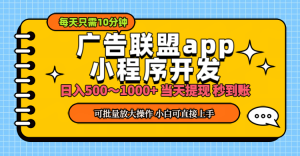 (11645期)小程序开发 广告赚钱 日入500~1000+ 小白轻松上手!-零氪资源站