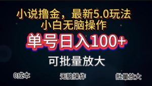 （11651期）全自动小说撸金，单号日入100+小白轻松上手，无脑操作-零氪资源站