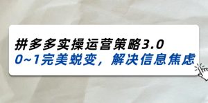 (11658期)2024_2025拼多多实操运营策略3.0,0~1完美蜕变,解决信息焦虑(38节)-零氪资源站