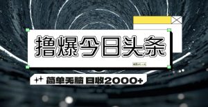 （11665期）撸爆今日头条 简单无脑操作 日收2000+-零氪资源站