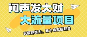 （11688期）闷声发大财，大流量项目，月收益过3万，只要你努力，两个月就能翻身-零氪资源站