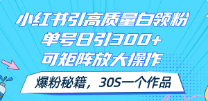 （11692期）小红书引高质量白领粉，单号日引300+，可放大操作，爆粉秘籍！30s一个作品-零氪资源站