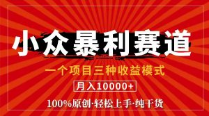 (11695期)视频号【中老年粉深信不疑】小众赛道 100%原创 手把手教学 新号3天收益…-零氪资源站