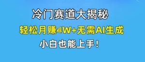 冷门赛道大揭秘，轻松月赚1W+无需AI生成，小白也能上手【揭秘】-零氪资源站