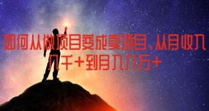 如何从做项目变成卖项目,从月收入几千到月入几万【揭秘】-零氪资源站