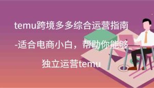 temu跨境多多综合运营指南-适合电商小白,帮助你能够独立运营temu(44节)-零氪资源站