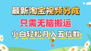 (11744期)最新淘宝视频分成,只需无脑搬运,小白也能轻松月入五位数,可矩阵批量…-零氪资源站