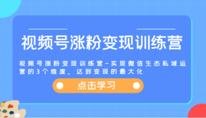 视频号涨粉变现训练营-实现微信生态私域运营的3个维度,达到变现的最大化-零氪资源站