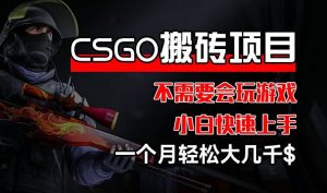 CSGO 装备搬砖项目,操作简单,不需要会玩游戏,小白也能快速上手,一个月轻松大几千【揭秘】-零氪资源站