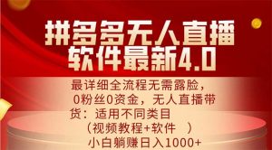 (11891期)拼多多无人直播软件最新4.0,最详细全流程无需露脸,0粉丝0资金, 小白…-零氪资源站