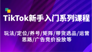 TikTok新手入门系列课程,玩法/定位/养号/矩阵/带货选品/运营思路/广告竞价投放等-零氪资源站