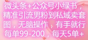 微头条+公众号小绿书，精准引流男粉到私域卖套图，无脑操作，有手就行，每单99-200，每天5单-零氪资源站