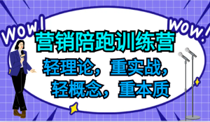 营销陪跑训练营,轻理论,重实战,轻概念,重本质,适合中小企业和初创企业的老板-零氪资源站