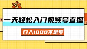 （11906期）一天入门视频号直播带货，日入1000不是梦-零氪资源站
