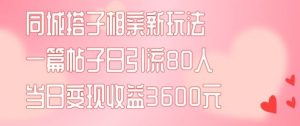 同城搭子相亲新玩法一篇帖子引流80人当日变现3600元(项目教程+实操教程)【揭秘】-零氪资源站