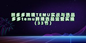 (11934期)拼多多跨境TEMU实战与选品,多多temu跨境选品运营实操(33节)-零氪资源站