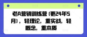 老A营销训练营(更24年7月),轻理论,重实战,轻概念,重本质-零氪资源站
