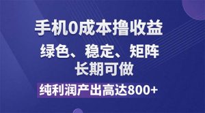 (11976期)纯利润高达800+,手机0成本撸羊毛,项目纯绿色,可稳定长期操作!-零氪资源站