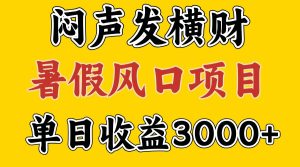 30天赚了7.5W 暑假风口项目，比较好学，2天左右上手-零氪资源站