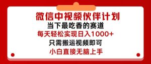 （12017期）微信中视频伙伴计划，仅靠搬运就能轻松实现日入500+，关键操作还简单，…-零氪资源站