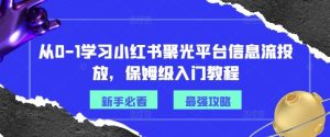 从0-1学习小红书聚光平台信息流投放，保姆级入门教程-零氪资源站