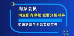 淘系会员初级到高手全系实战宝典【淘宝所有课程，全面分析对手】-零氪资源站