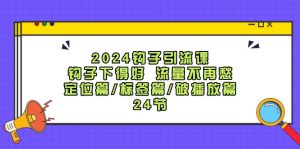 (12097期)2024钩子·引流课:钩子下得好 流量不再愁,定位篇/标签篇/破播放篇/24节-零氪资源站