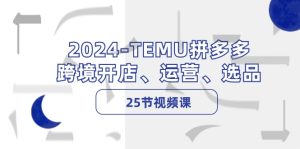 (12106期)2024-TEMU拼多多·跨境开店、运营、选品(25节视频课)-零氪资源站
