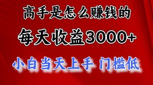 (12144期)1天收益3000+,月收益10万以上,24年8月份爆火项目-零氪资源站