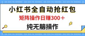 （12151期）最新小红书全自动抢红包，单号一天50＋  矩阵操作日入300＋，纯无脑操作-零氪资源站