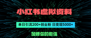 (12164期)小红书虚拟资料日引流200+创业粉,单日变现5000+-零氪资源站